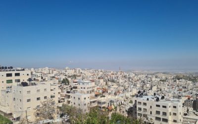 Surviving Stone Walls: Living in Jerusalem’s Concrete Buildings